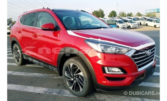 Buy Import Hyundai Tucson Red Car in Import - Dubai in Bagmati Buy Import Hyundai Tucson Red Car in Import - Dubai in Bagmati