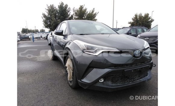 Buy Import Toyota C-HR Other Car in Import - Dubai in Bagmati Buy Import Toyota C-HR Other Car in Import - Dubai in Bagmati