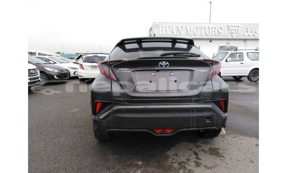 Buy Import Toyota C-HR Other Car in Import - Dubai in Bagmati Buy Import Toyota C-HR Other Car in Import - Dubai in Bagmati