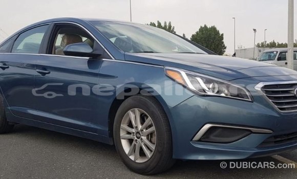 Buy Import Hyundai Sonata Blue Car in Import - Dubai in Bagmati Buy Import Hyundai Sonata Blue Car in Import - Dubai in Bagmati