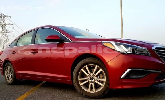 Buy Import Hyundai Sonata Red Car in Import - Dubai in Bagmati Buy Import Hyundai Sonata Red Car in Import - Dubai in Bagmati