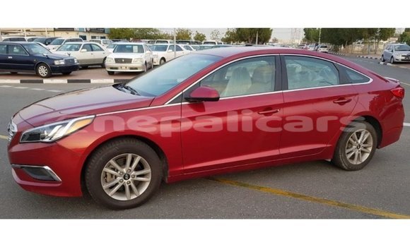 Buy Import Hyundai Sonata Red Car in Import - Dubai in Bagmati Buy Import Hyundai Sonata Red Car in Import - Dubai in Bagmati