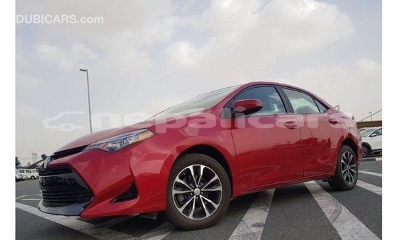 Buy Import Toyota Corolla Red Car in Import - Dubai in Bagmati Buy Import Toyota Corolla Red Car in Import - Dubai in Bagmati