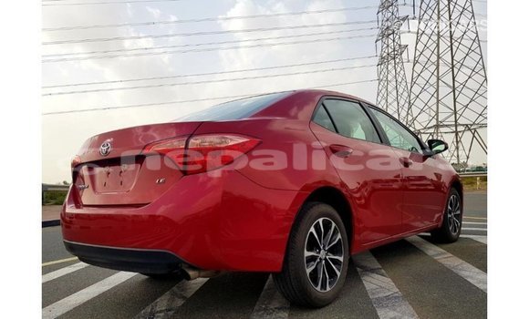 Buy Import Toyota Corolla Red Car in Import - Dubai in Bagmati Buy Import Toyota Corolla Red Car in Import - Dubai in Bagmati