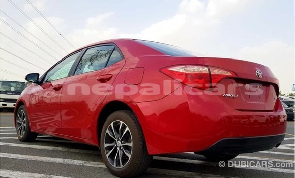 Buy Import Toyota Corolla Red Car in Import - Dubai in Bagmati Buy Import Toyota Corolla Red Car in Import - Dubai in Bagmati