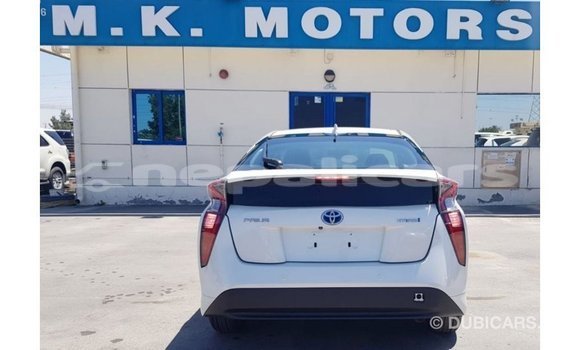 Buy Import Toyota Prius White Car in Import - Dubai in Bagmati Buy Import Toyota Prius White Car in Import - Dubai in Bagmati