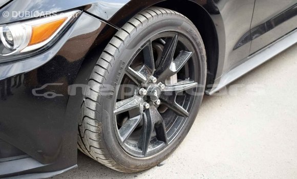 Buy Import Ford Mustang Black Car in Import - Dubai in Bagmati