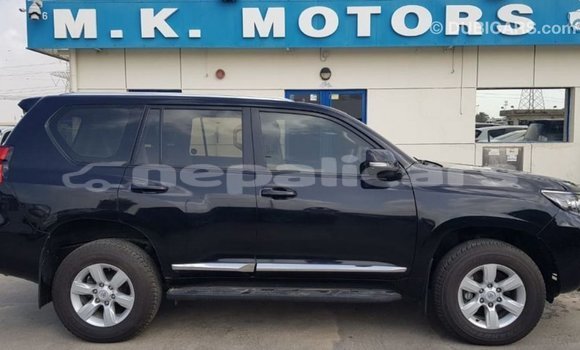 Buy Import Toyota Prado Black Car in Import - Dubai in Bagmati Buy Import Toyota Prado Black Car in Import - Dubai in Bagmati