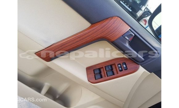 Buy Import Toyota Prado Black Car in Import - Dubai in Bagmati Buy Import Toyota Prado Black Car in Import - Dubai in Bagmati