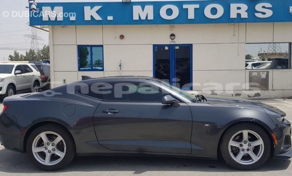 Buy Import Chevrolet Camaro Other Car in Import - Dubai in Bagmati Buy Import Chevrolet Camaro Other Car in Import - Dubai in Bagmati