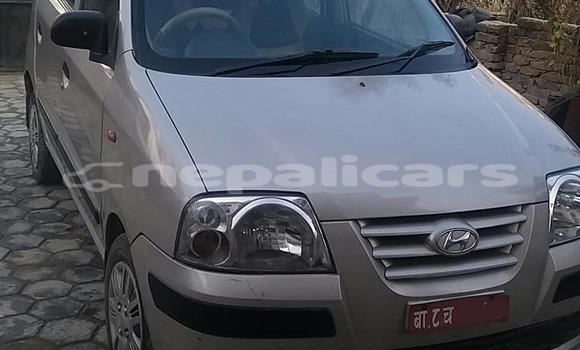 Buy Used Hyundai Santamo Silver Car in Kathmandu in Bagmati