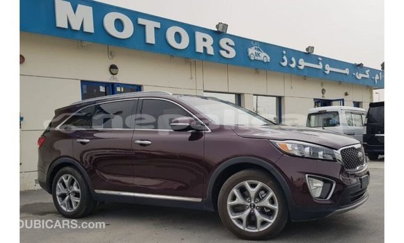 Buy Import Kia Sorento Red Car in Import - Dubai in Bagmati Buy Import Kia Sorento Red Car in Import - Dubai in Bagmati