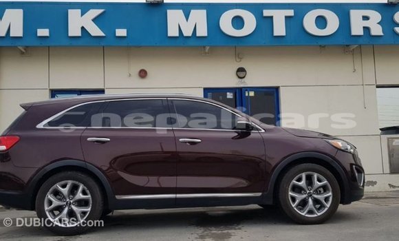 Buy Import Kia Sorento Red Car in Import - Dubai in Bagmati Buy Import Kia Sorento Red Car in Import - Dubai in Bagmati