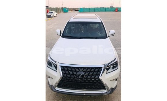 Buy Import Lexus GX White Car in Import - Dubai in Bagmati Buy Import Lexus GX White Car in Import - Dubai in Bagmati