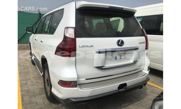Buy Import Lexus GX White Car in Import - Dubai in Bagmati Buy Import Lexus GX White Car in Import - Dubai in Bagmati