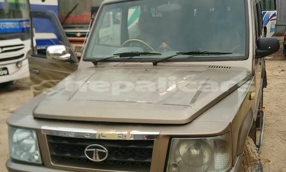 Buy Used TATA Sumo Other Car in Kathmandu in Bagmati