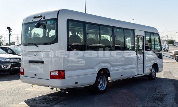 Buy Import Toyota Coaster White Car in Import - Dubai in Bagmati Buy Import Toyota Coaster White Car in Import - Dubai in Bagmati