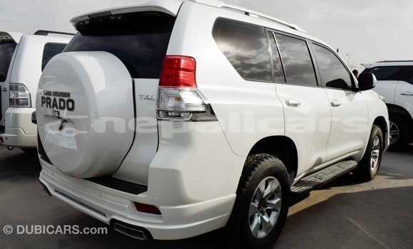 Buy Import Toyota Prado White Car in Import - Dubai in Bagmati Buy Import Toyota Prado White Car in Import - Dubai in Bagmati