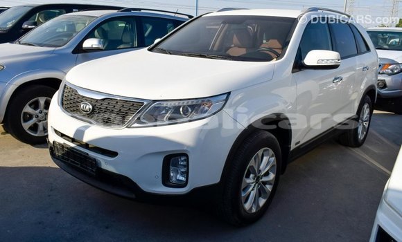 Buy Import Kia Sorento White Car in Import - Dubai in Bagmati Buy Import Kia Sorento White Car in Import - Dubai in Bagmati