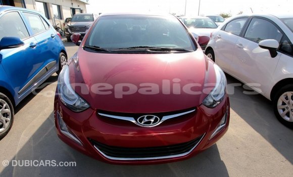 Buy Import Hyundai Elantra Red Car in Import - Dubai in Bagmati Buy Import Hyundai Elantra Red Car in Import - Dubai in Bagmati