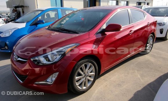 Buy Import Hyundai Elantra Red Car in Import - Dubai in Bagmati Buy Import Hyundai Elantra Red Car in Import - Dubai in Bagmati