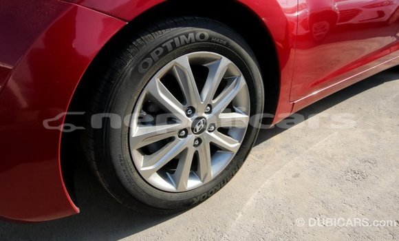 Buy Import Hyundai Elantra Red Car in Import - Dubai in Bagmati Buy Import Hyundai Elantra Red Car in Import - Dubai in Bagmati