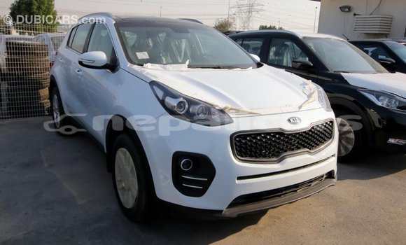 Buy Import Kia Sportage White Car in Import - Dubai in Bagmati Buy Import Kia Sportage White Car in Import - Dubai in Bagmati