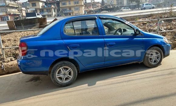 Buy Used Toyota Echo Blue Car in Kathmandu in Bagmati Buy Used Toyota Echo Blue Car in Kathmandu in Bagmati