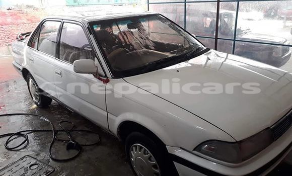 Buy Used Toyota Corolla White Car in Kathmandu in Bagmati Buy Used Toyota Corolla White Car in Kathmandu in Bagmati