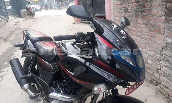 Buy Used Bajaj PULSAR Black Bike in Kathmandu in Bagmati Buy Used Bajaj PULSAR Black Bike in Kathmandu in Bagmati