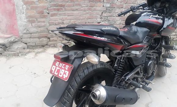 Buy Used Bajaj PULSAR Black Bike in Kathmandu in Bagmati Buy Used Bajaj PULSAR Black Bike in Kathmandu in Bagmati