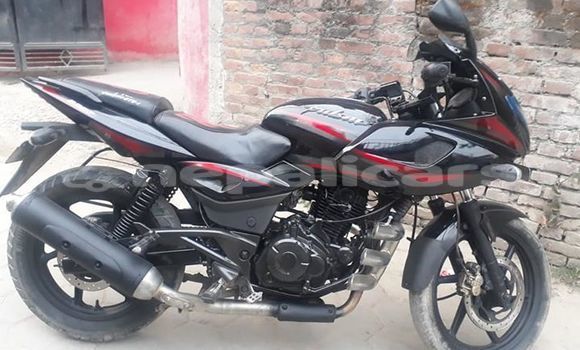 Buy Used Bajaj PULSAR Black Bike in Kathmandu in Bagmati Buy Used Bajaj PULSAR Black Bike in Kathmandu in Bagmati
