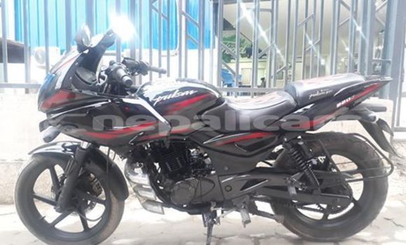Buy Used Bajaj PULSAR Black Bike in Kathmandu in Bagmati Buy Used Bajaj PULSAR Black Bike in Kathmandu in Bagmati