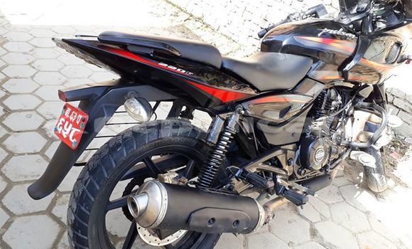 Buy Used Bajaj PULSAR Black Bike in Kathmandu in Bagmati Buy Used Bajaj PULSAR Black Bike in Kathmandu in Bagmati