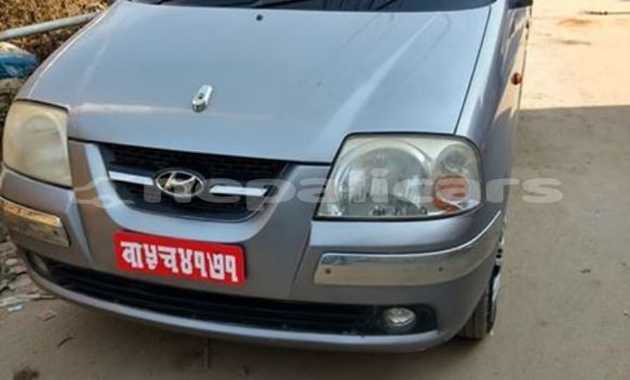Buy Used Hyundai Santamo Other Car in Kathmandu in Bagmati
