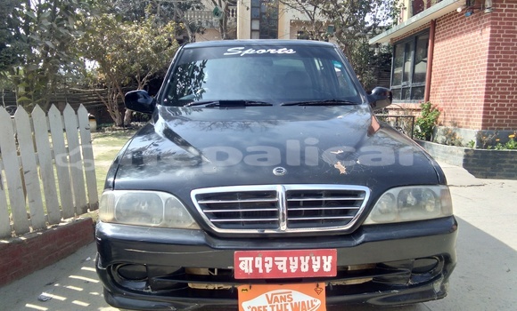 Buy Used SsangYong Musso Black Car in Lalitpur in Bagmati