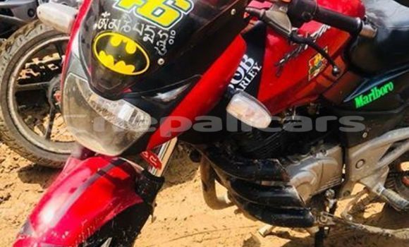 Buy Used Bajaj PULSAR Red Bike in Kathmandu in Bagmati Buy Used Bajaj PULSAR Red Bike in Kathmandu in Bagmati