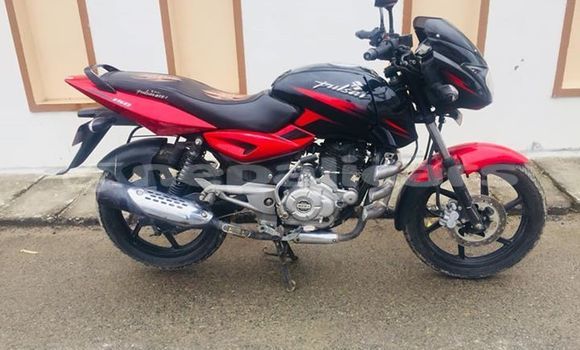 Buy Used Bajaj PULSAR Red Bike in Kathmandu in Bagmati Buy Used Bajaj PULSAR Red Bike in Kathmandu in Bagmati