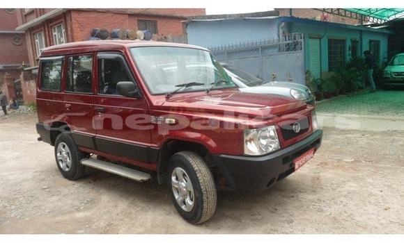 Buy Used TATA Sumo Red Car in Kathmandu in Bagmati