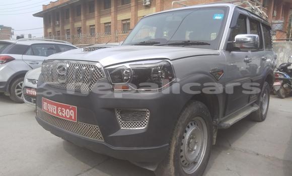 Buy New Mahindra Scorpio Silver Car in Lalitpur in Bagmati