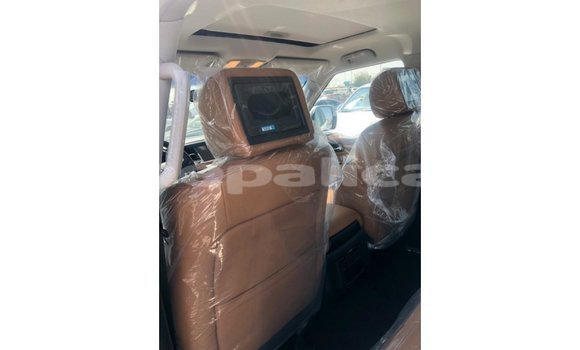 Buy Import Nissan Patrol White Car in Import - Dubai in Bagmati Buy Import Nissan Patrol White Car in Import - Dubai in Bagmati