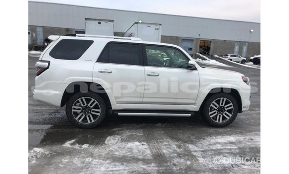Buy Import Toyota 4Runner White Car in Import - Dubai in Bagmati Buy Import Toyota 4Runner White Car in Import - Dubai in Bagmati