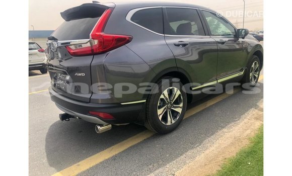 Buy Import Honda C Other Bike in Import - Dubai in Bagmati Buy Import Honda C Other Bike in Import - Dubai in Bagmati