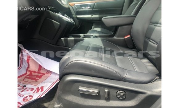 Buy Import Honda C Other Bike in Import - Dubai in Bagmati Buy Import Honda C Other Bike in Import - Dubai in Bagmati