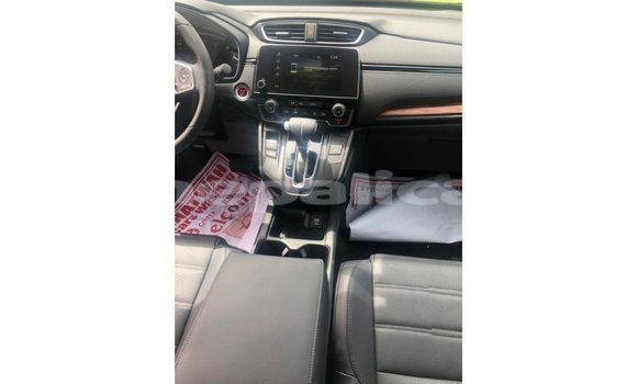 Buy Import Honda C Other Bike in Import - Dubai in Bagmati Buy Import Honda C Other Bike in Import - Dubai in Bagmati