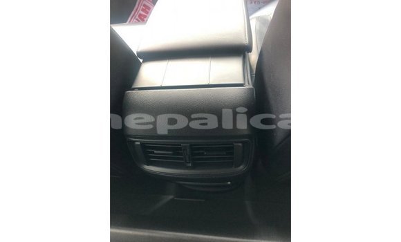 Buy Import Honda C Other Bike in Import - Dubai in Bagmati Buy Import Honda C Other Bike in Import - Dubai in Bagmati