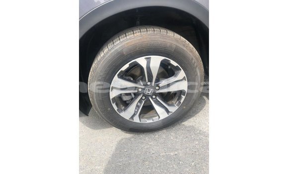 Buy Import Honda C Other Bike in Import - Dubai in Bagmati