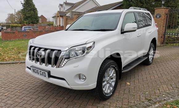 Buy Used Toyota Land Cruiser White Car in Bhadrapur in Mechi Buy Used Toyota Land Cruiser White Car in Bhadrapur in Mechi