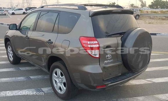 Buy Import Toyota 4Runner Brown Car in Import - Dubai in Bagmati Buy Import Toyota 4Runner Brown Car in Import - Dubai in Bagmati