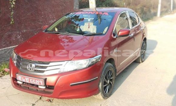 Buy Used Honda City Red Car in Kathmandu in Bagmati